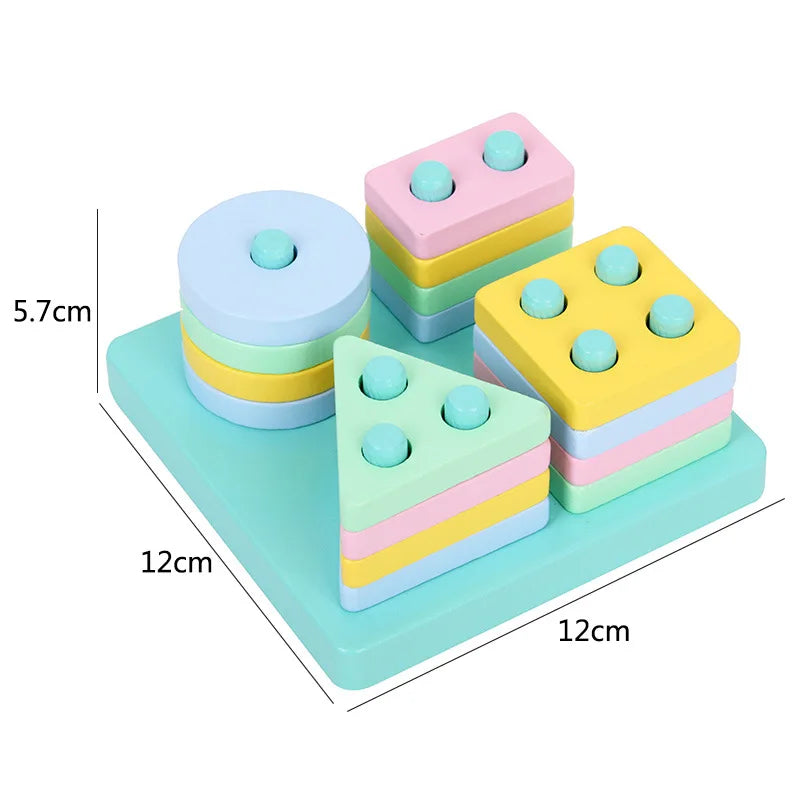 Montessori 3D Wooden Early Learning Baby Toys