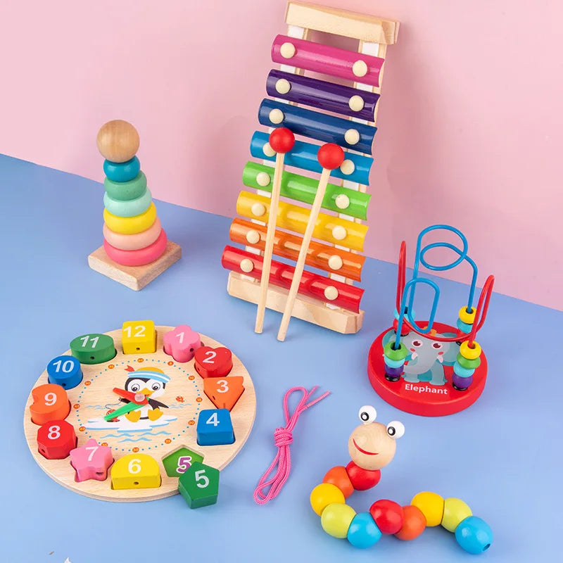 Montessori 3D Wooden Early Learning Baby Toys